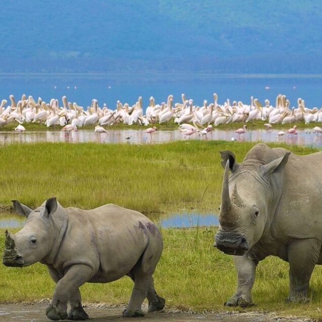 Lake Nakuru National Park