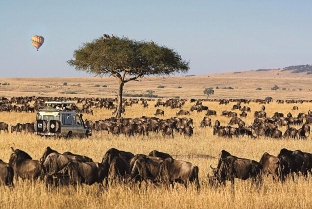 3 Days Masai Mara National Reserve best tour package